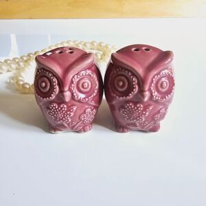 CottageCore Ceramic Owl Salt and Pepper Shaker Set Boho Mini Animals